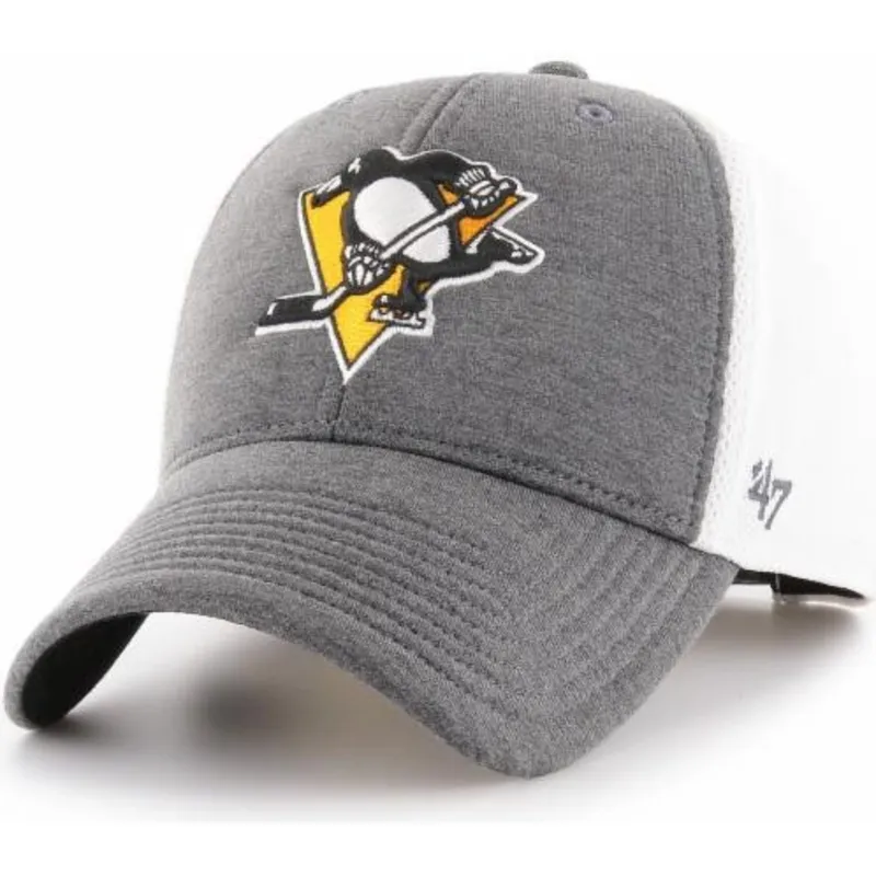 petten-gebogen-grijs-verstelbaar-van-pittsburgh-penguins-nhl-van-47-brand