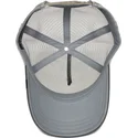 petten-gebogen-grijs-snapback-eye-of-the-tiger-the-farm-van-goorin-bros