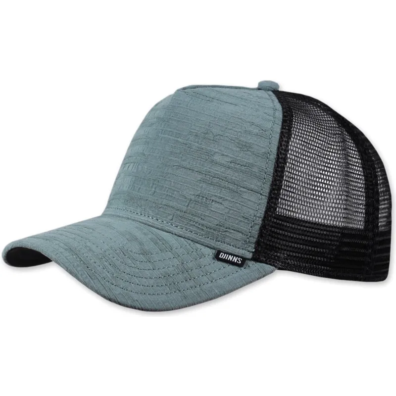 petten-gebogen-blauw-snapback-bigseer-van-djinns