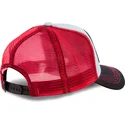 petten-gebogen-blauw-snapback-mem1-batman-en-robin-dc-comics-van-capslab