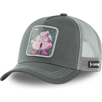 petten-gebogen-grijs-snapback-poo3-poep-dr-slump-van-capslab