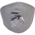 maskers-en-bescherming-grijs-mascarilla-reutilizable-living-legend-the-farm-van-goorin-bros