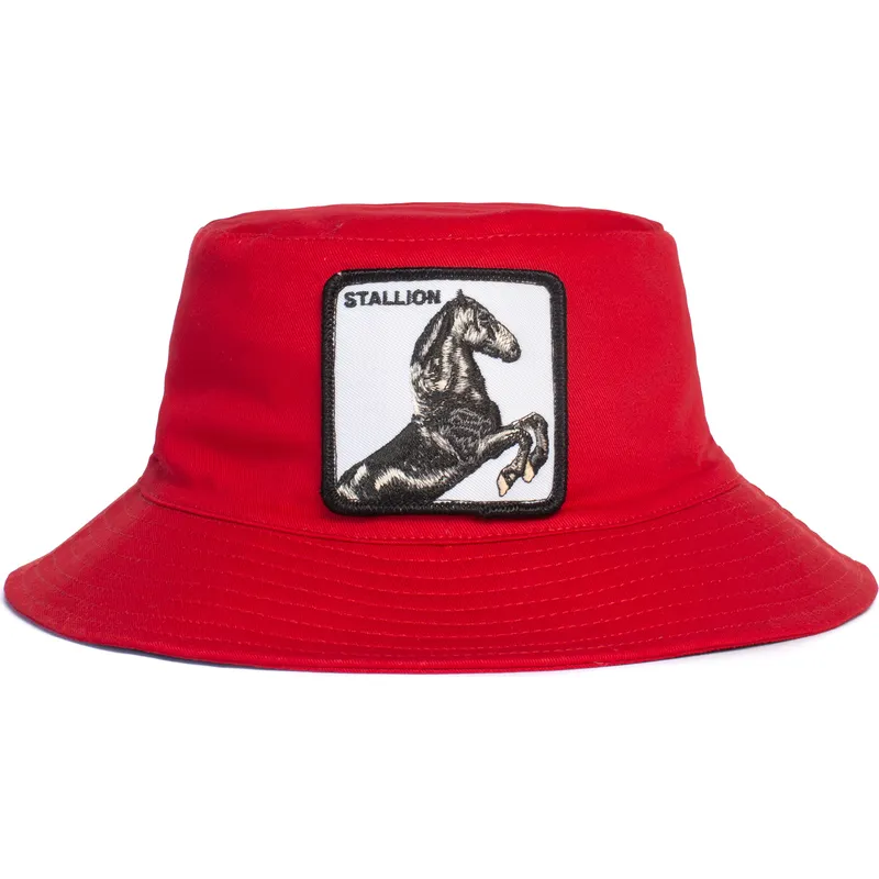 emmer-rood-stallion-im-a-little-hoarse-the-farm-van-goorin-bros