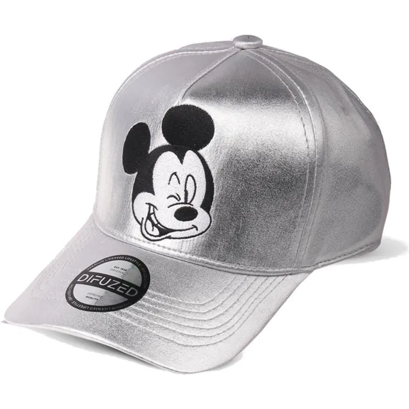 petten-gebogen-grijs-snapback-plateada-van-difuzed