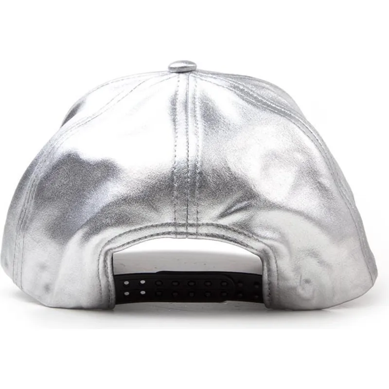 petten-gebogen-grijs-snapback-plateada-van-difuzed petten-gebogen-grijs-snapback-plateada-van-difuzed