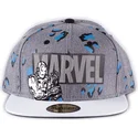 petten-plat-grijs-snapback-true-power-van-difuzed