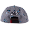 petten-plat-grijs-snapback-true-power-van-difuzed
