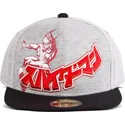 petten-plat-grijs-snapback-japanese-van-difuzed