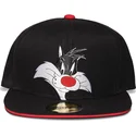 petten-plat-zwart-snapback-space-jam-van-difuzed