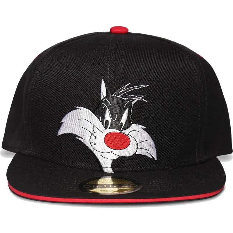 petten-plat-zwart-snapback-space-jam-van-difuzed