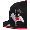 petten-plat-zwart-snapback-space-jam-van-difuzed