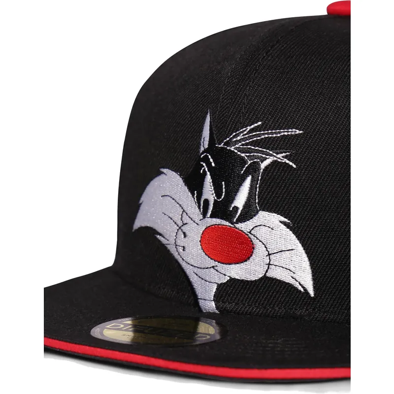 petten-plat-zwart-snapback-space-jam-van-difuzed
