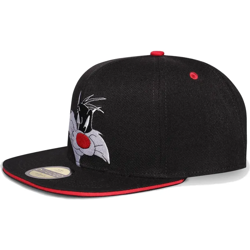 petten-plat-zwart-snapback-space-jam-van-difuzed