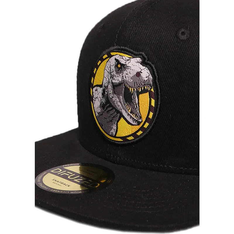 petten-plat-zwart-snapback-van-difuzed