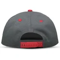 petten-plat-grijs-snapback-voor-kinderen-the-bad-batch-van-difuzed