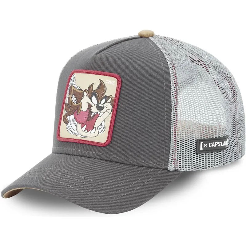 petten-gebogen-grijs-snapback-tasmaanse-duivel-looney-tunes-van-capslab