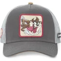 petten-gebogen-grijs-snapback-tasmaanse-duivel-looney-tunes-van-capslab
