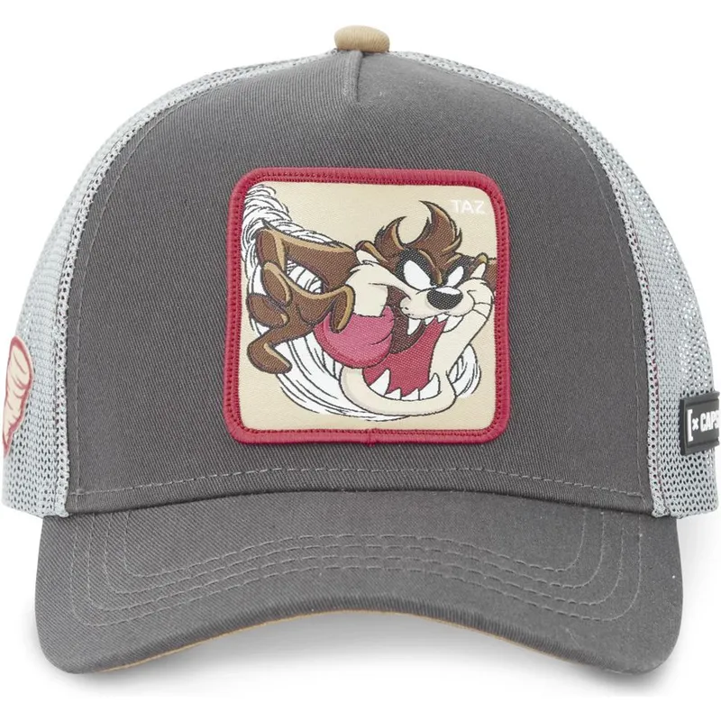 petten-gebogen-grijs-snapback-tasmaanse-duivel-looney-tunes-van-capslab