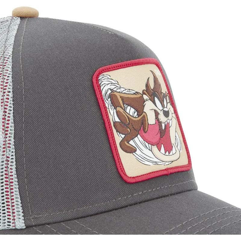 petten-gebogen-grijs-snapback-tasmaanse-duivel-looney-tunes-van-capslab