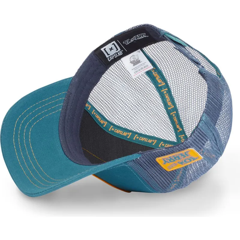 petten-gebogen-blauw-snapback-jer1-jerry-looney-tunes-van-capslab