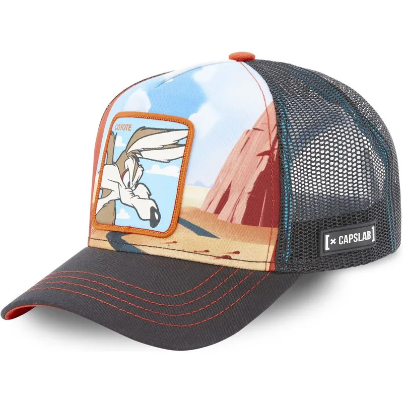 petten-gebogen-meerkleurig-snapback-loo5-coy2-coyote-looney-tunes-van-capslab