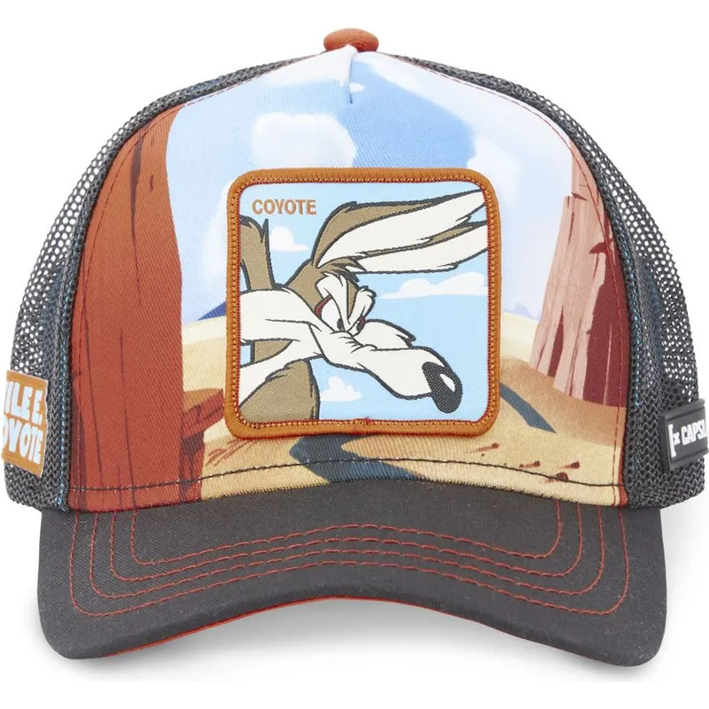 petten-gebogen-meerkleurig-snapback-loo5-coy2-coyote-looney-tunes-van-capslab