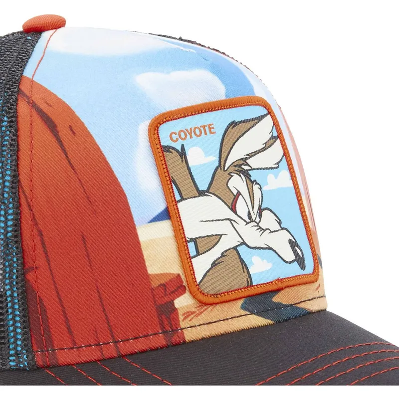 petten-gebogen-meerkleurig-snapback-loo5-coy2-coyote-looney-tunes-van-capslab