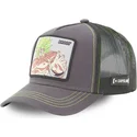 petten-gebogen-grijs-snapback-super-saiyan-legendario-dbsb1-bro1-broly-dragon-ball-van-capslab