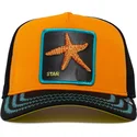 petten-gebogen-oranje-snapback-van-mar-baby-i-m-a-star-the-farm-van-goorin-bros