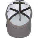 petten-gebogen-blauw-snapback-nival-ice-cold-geometric-iceberg-the-farm-van-goorin-bros