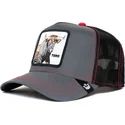 petten-gebogen-zwart-snapback-reflective-the-farm-van-goorin-bros