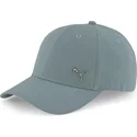 petten-gebogen-blauw-verstelbaar-metal-cat-van-puma
