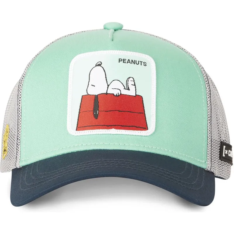 petten-gebogen-groen-snapback-pe2-snoopy-peanuts-van-capslab