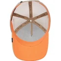petten-gebogen-blauw-snapback-the-panther-the-farm-van-goorin-bros