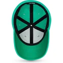 petten-gebogen-groen-fitted-39thirty-polartec-dog-ear-fleece-van-new-era