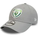 petten-gebogen-grijs-verstelbaar-9forty-cotton-van-league-of-ireland-premier-division-van-new-era