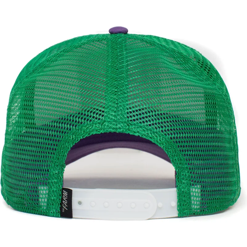 petten-gebogen-meerkleurig-snapback-ass-donkey-trip-the-farm-van-goorin-bros