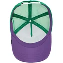 petten-gebogen-meerkleurig-snapback-ass-donkey-trip-the-farm-van-goorin-bros