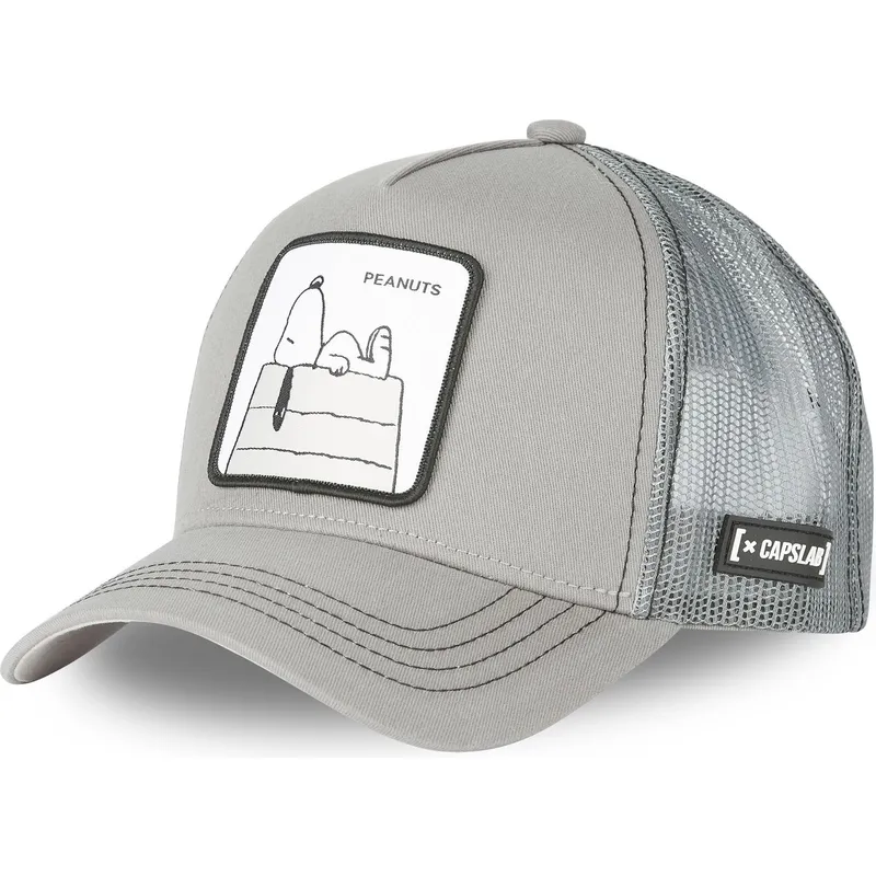 petten-gebogen-grijs-snapback-sn2-snoopy-peanuts-van-capslab
