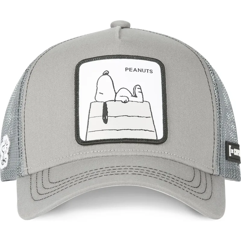 petten-gebogen-grijs-snapback-sn2-snoopy-peanuts-van-capslab