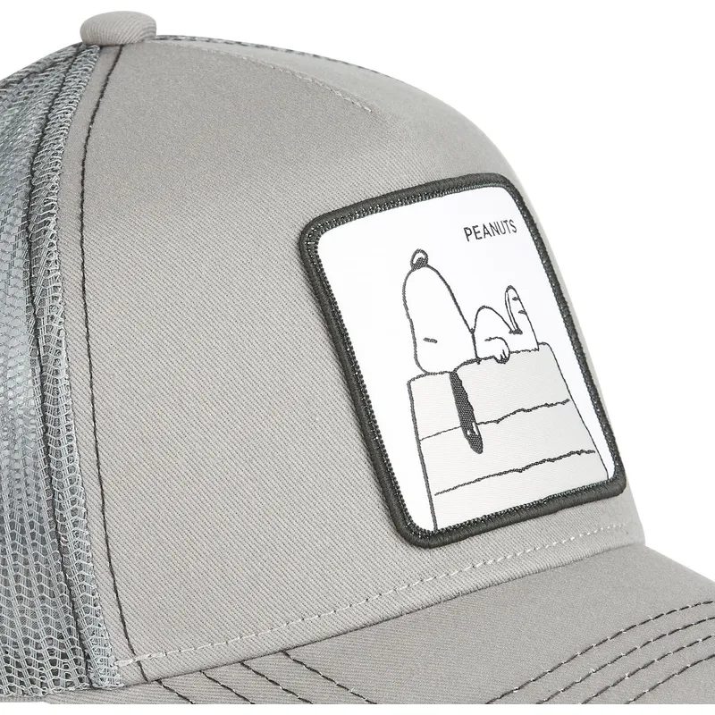 petten-gebogen-grijs-snapback-sn2-snoopy-peanuts-van-capslab