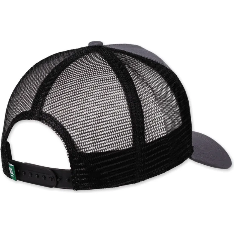 petten-gebogen-grijs-snapback-new-b-hft-van-coastal