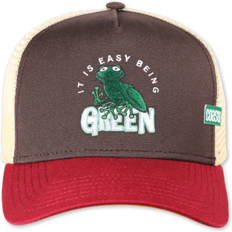 petten-gebogen-meerkleurig-snapback-it-is-easy-being-green-hft-van-coastal