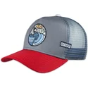 petten-gebogen-grijs-snapback-the-glow-hft-van-coastal