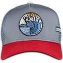 petten-gebogen-grijs-snapback-the-glow-hft-van-coastal