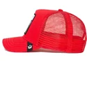petten-gebogen-rood-snapback-the-white-tiger-the-farm-van-goorin-bros