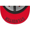 petten-plat-zwart-snapback-9fifty-van-silvestre-looney-tunes-van-new-era