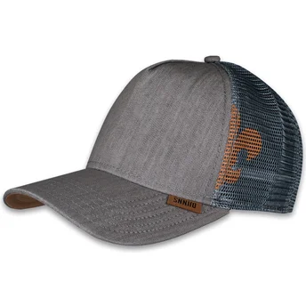 Petten gebogen grijs snapback HFT Linen 2014 van Djinns