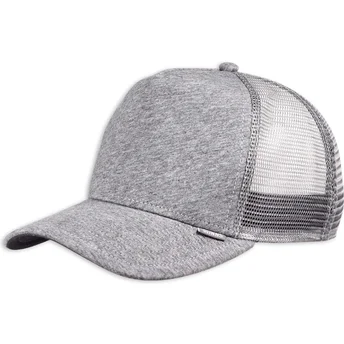 Petten gebogen grijs snapback Cut & Sew HFT van Djinns