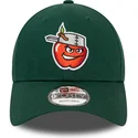 petten-gebogen-groen-verstelbaar-9forty-minor-league-van-fort-wayne-tincaps-milb-van-new-era